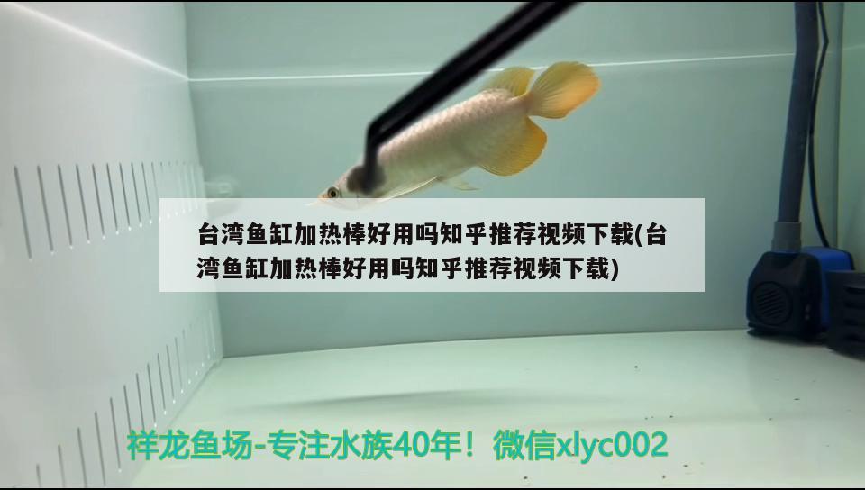 臺(tái)灣魚(yú)缸加熱棒好用嗎知乎推薦視頻下載(臺(tái)灣魚(yú)缸加熱棒好用嗎知乎推薦視頻下載)