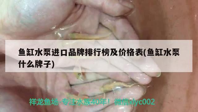 魚缸水泵進口品牌排行榜及價格表(魚缸水泵什么牌子)