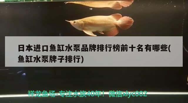 日本進(jìn)口魚缸水泵品牌排行榜前十名有哪些(魚缸水泵牌子排行) 魚缸水泵