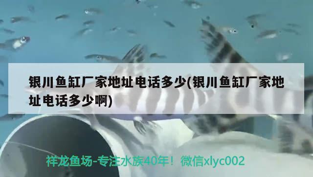 銀川魚(yú)缸廠家地址電話多少(銀川魚(yú)缸廠家地址電話多少啊)