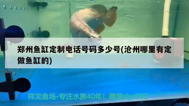 鄭州魚缸定制電話號碼多少號(滄州哪里有定做魚缸的)