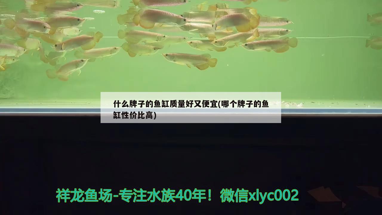 什么牌子的魚缸質(zhì)量好又便宜(哪個牌子的魚缸性價比高)