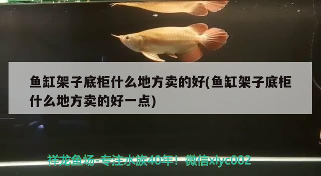 魚缸架子底柜什么地方賣的好(魚缸架子底柜什么地方賣的好一點) 大白鯊魚苗