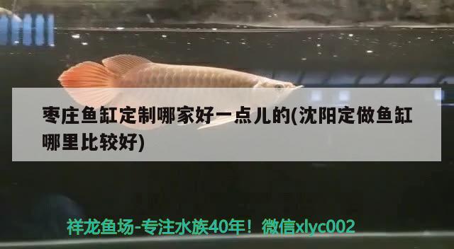 棗莊魚缸定制哪家好一點兒的(沈陽定做魚缸哪里比較好) 黑云魚