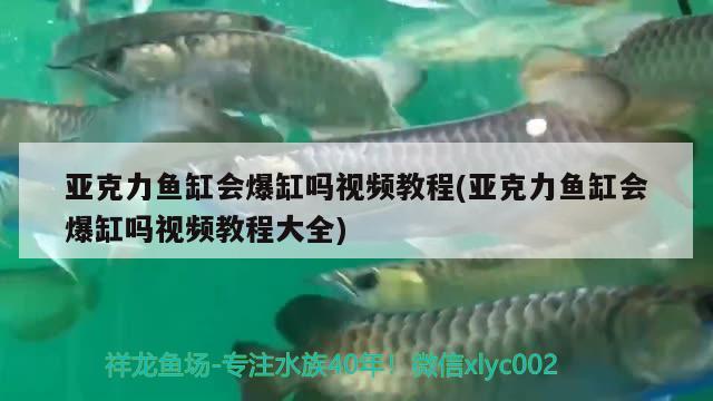 亞克力魚缸會(huì)爆缸嗎視頻教程(亞克力魚缸會(huì)爆缸嗎視頻教程大全)