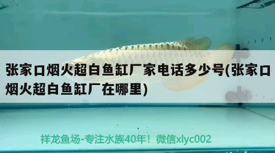 張家口煙火超白魚缸廠家電話多少號(hào)(張家口煙火超白魚缸廠在哪里)