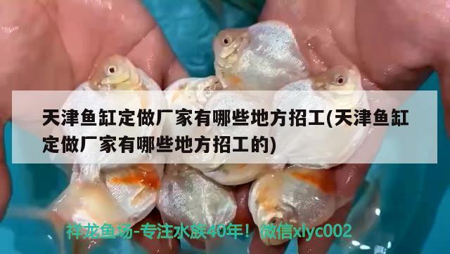 天津魚缸定做廠家有哪些地方招工(天津魚缸定做廠家有哪些地方招工的) 丹頂錦鯉魚