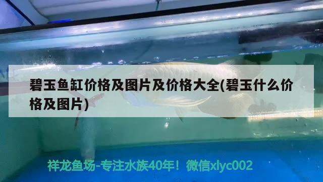 碧玉魚缸價格及圖片及價格大全(碧玉什么價格及圖片) 沖氧泵