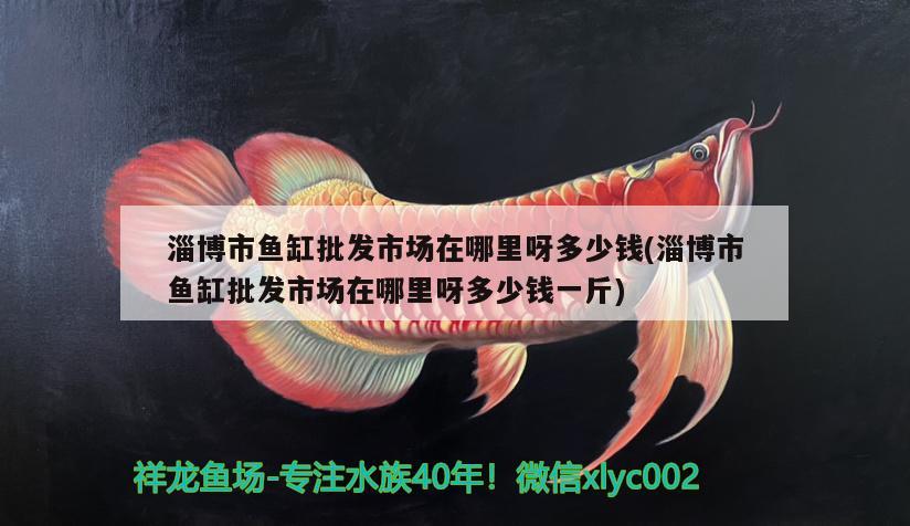 淄博市魚缸批發(fā)市場在哪里呀多少錢(淄博市魚缸批發(fā)市場在哪里呀多少錢一斤) 巴卡雷龍魚 第1張