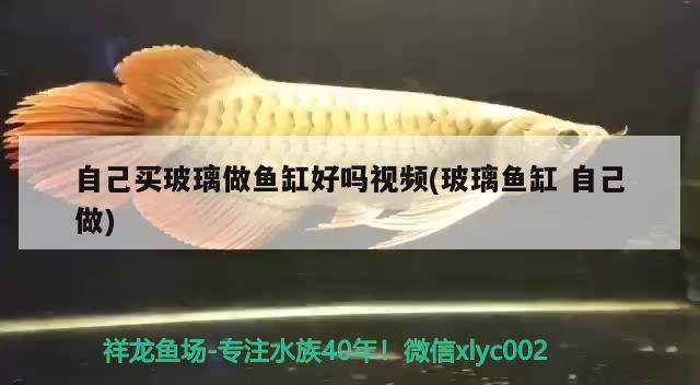 自己買(mǎi)玻璃做魚(yú)缸好嗎視頻(玻璃魚(yú)缸自己做) 魚(yú)缸凈水劑