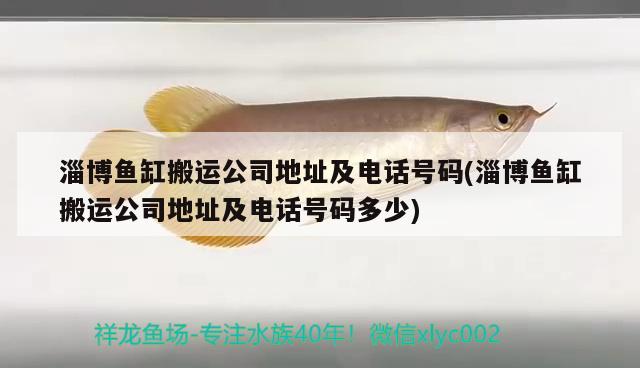 淄博魚缸搬運(yùn)公司地址及電話號(hào)碼(淄博魚缸搬運(yùn)公司地址及電話號(hào)碼多少) 紅魔王銀版魚