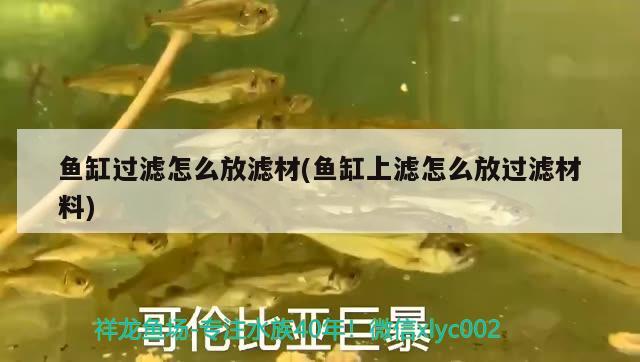 魚缸過濾怎么放濾材(魚缸上濾怎么放過濾材料) 南美異型魚