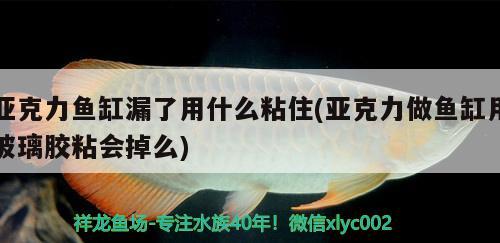 亞克力魚缸漏了用什么粘住(亞克力做魚缸用玻璃膠粘會掉么)