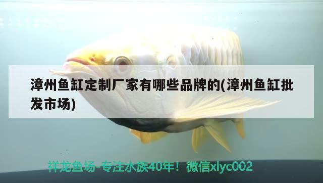 漳州魚缸定制廠家有哪些品牌的(漳州魚缸批發(fā)市場) 錦鯉池魚池建設(shè)