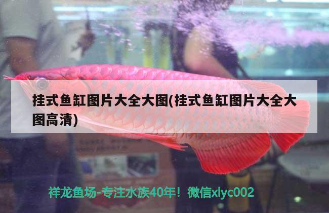 掛式魚缸圖片大全大圖(掛式魚缸圖片大全大圖高清)