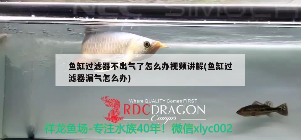 魚缸過濾器不出氣了怎么辦視頻講解(魚缸過濾器漏氣怎么辦) 伊巴卡魚