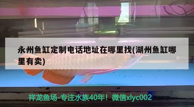 永州魚缸定制電話地址在哪里找(湖州魚缸哪里有賣) 過背金龍魚