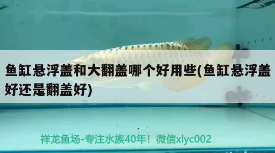 魚缸懸浮蓋和大翻蓋哪個(gè)好用些(魚缸懸浮蓋好還是翻蓋好) 龍鳳鯉魚