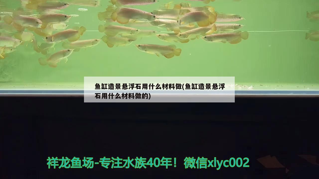 魚缸造景懸浮石用什么材料做(魚缸造景懸浮石用什么材料做的) 白條過背金龍魚