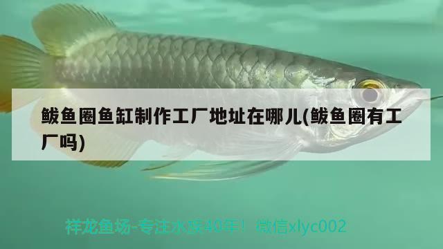 鲅魚(yú)圈魚(yú)缸制作工廠地址在哪兒(鲅魚(yú)圈有工廠嗎) 龍鳳鯉魚(yú)