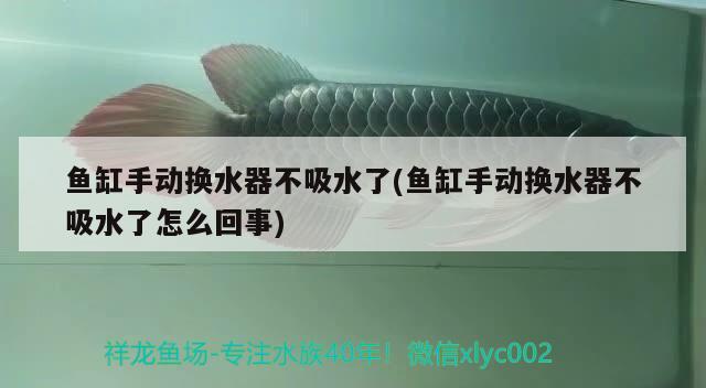 魚缸手動換水器不吸水了(魚缸手動換水器不吸水了怎么回事)