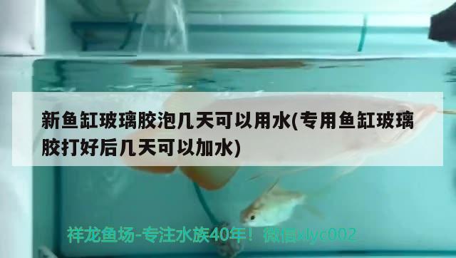 新魚缸玻璃膠泡幾天可以用水(專用魚缸玻璃膠打好后幾天可以加水) 喂食器