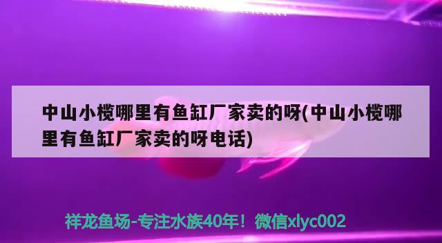 中山小欖哪里有魚缸廠家賣的呀(中山小欖哪里有魚缸廠家賣的呀電話)