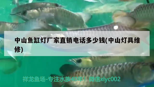 中山魚缸燈廠家直銷電話多少錢(中山燈具維修) 白化火箭魚