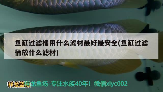 魚缸過濾桶用什么濾材最好最安全(魚缸過濾桶放什么濾材) 白子黃化銀龍魚