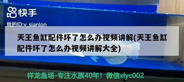 天王魚缸配件壞了怎么辦視頻講解(天王魚缸配件壞了怎么辦視頻講解大全)