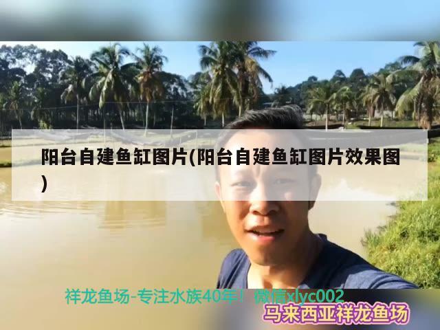 陽臺自建魚缸圖片(陽臺自建魚缸圖片效果圖)