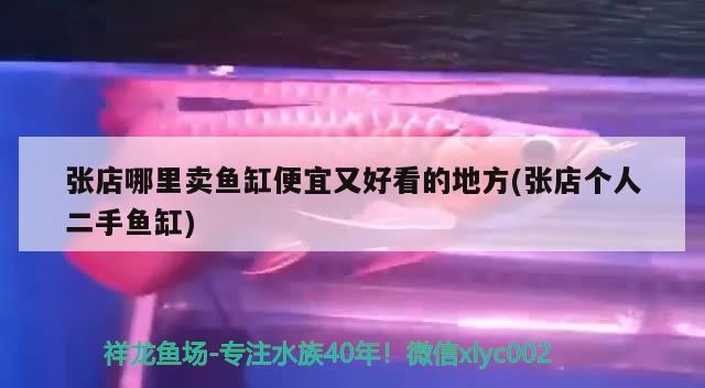 張店哪里賣魚缸便宜又好看的地方(張店個(gè)人二手魚缸) 黃金河虎魚