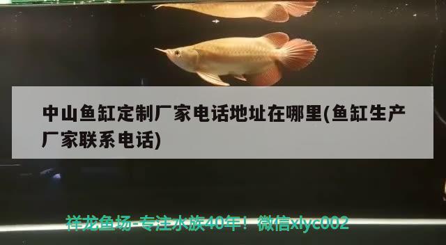 中山魚缸定制廠家電話地址在哪里(魚缸生產(chǎn)廠家聯(lián)系電話) 養(yǎng)魚的好處