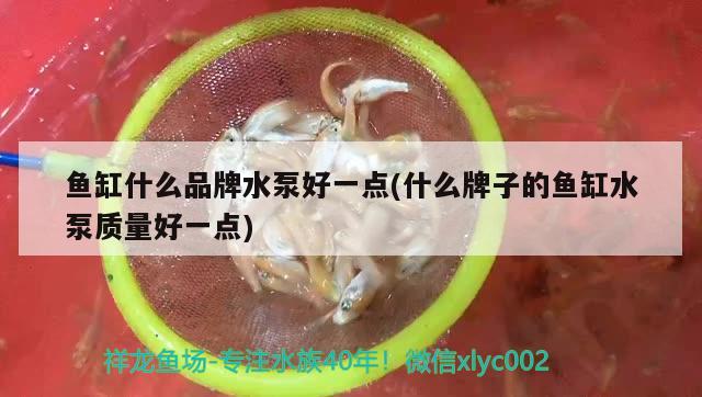 魚缸什么品牌水泵好一點(什么牌子的魚缸水泵質(zhì)量好一點) 魚缸水泵