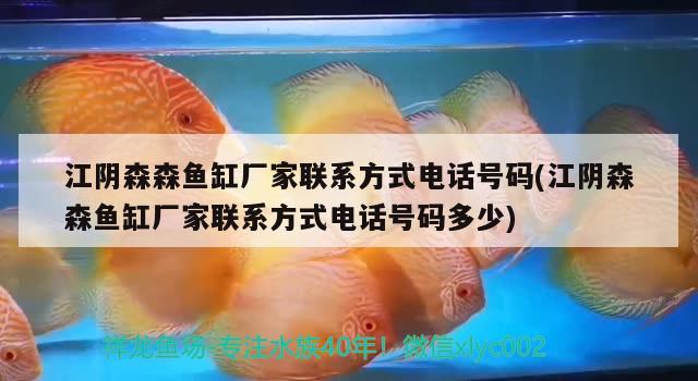 江陰森森魚缸廠家聯(lián)系方式電話號碼(江陰森森魚缸廠家聯(lián)系方式電話號碼多少) 女王大帆魚