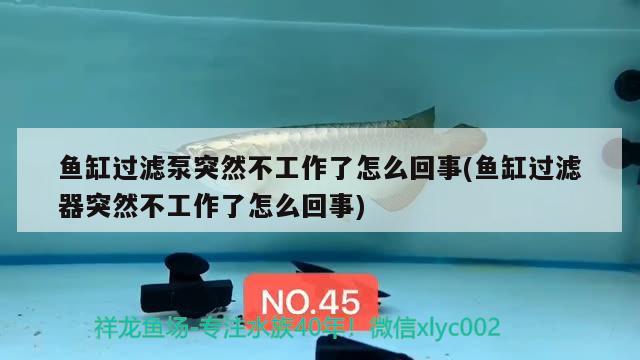 魚缸過濾泵突然不工作了怎么回事(魚缸過濾器突然不工作了怎么回事)