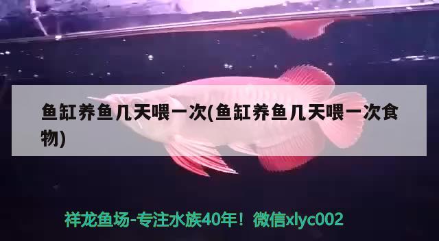 魚缸養(yǎng)魚幾天喂一次(魚缸養(yǎng)魚幾天喂一次食物) 祥龍魚場品牌產(chǎn)品