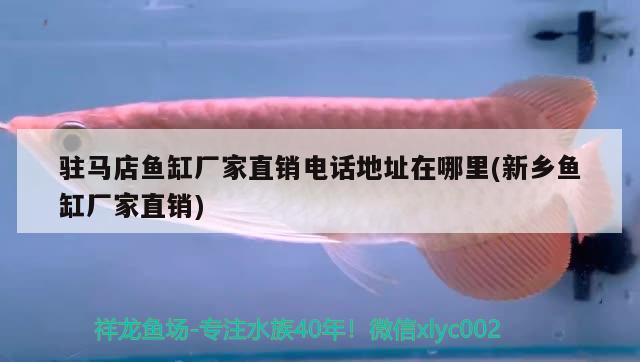 駐馬店魚缸廠家直銷電話地址在哪里(新鄉(xiāng)魚缸廠家直銷) 觀賞魚進出口