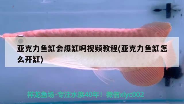 亞克力魚缸會(huì)爆缸嗎視頻教程(亞克力魚缸怎么開缸)