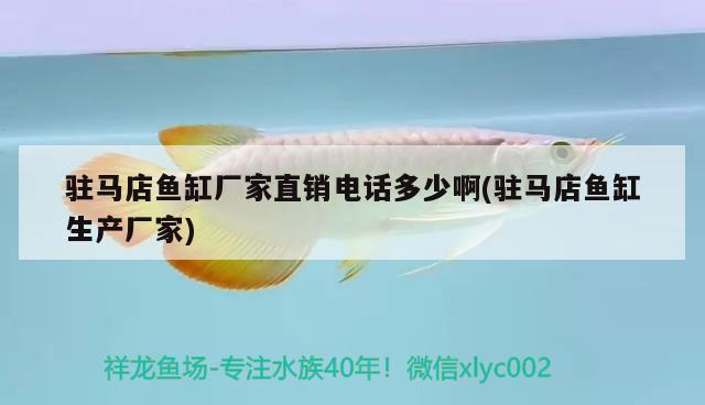 駐馬店魚缸廠家直銷電話多少啊(駐馬店魚缸生產(chǎn)廠家) 小型觀賞魚