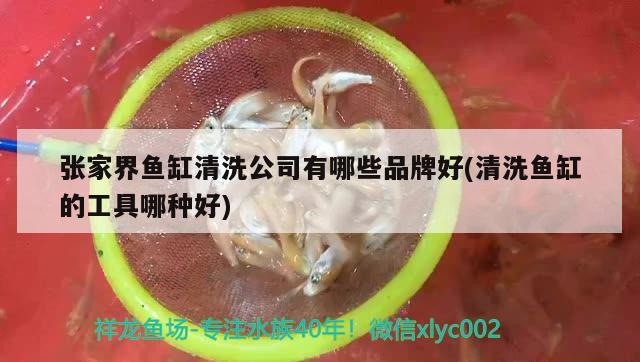 張家界魚缸清洗公司有哪些品牌好(清洗魚缸的工具哪種好)