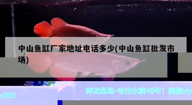 魚缸玻璃是綠色的嗎好嗎(玻璃魚缸在室外養(yǎng)魚怎么老是綠)