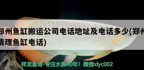 鄭州魚(yú)缸搬運(yùn)公司電話地址及電話多少(鄭州清理魚(yú)缸電話) 綠皮辣椒小紅龍