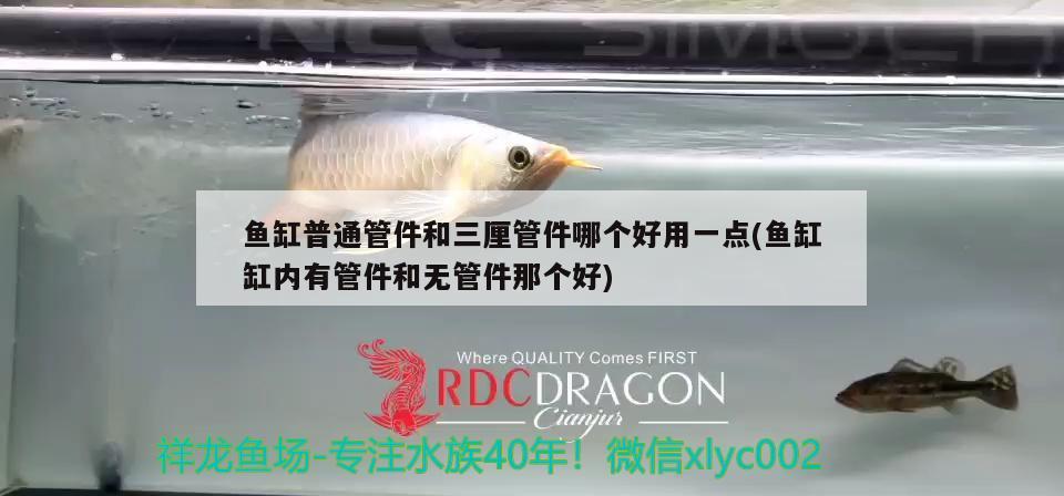 魚缸普通管件和三厘管件哪個好用一點(魚缸缸內(nèi)有管件和無管件那個好) 祥龍魚場品牌產(chǎn)品