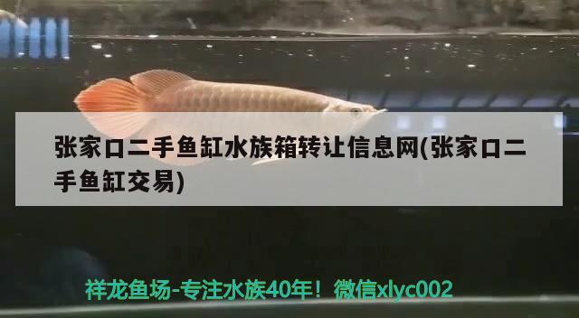 張家口二手魚缸水族箱轉(zhuǎn)讓信息網(wǎng)(張家口二手魚缸交易) 魚缸/水族箱