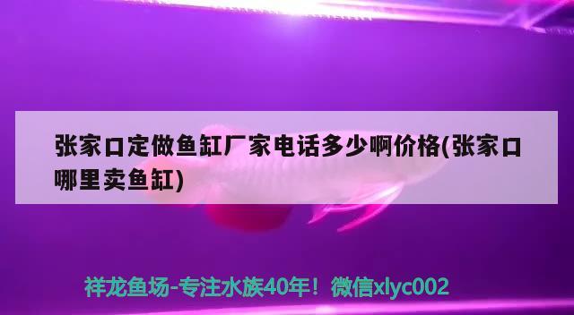 張家口定做魚缸廠家電話多少啊價(jià)格(張家口哪里賣魚缸) 和尚魚