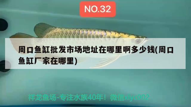 周口魚缸批發(fā)市場地址在哪里啊多少錢(周口魚缸廠家在哪里)