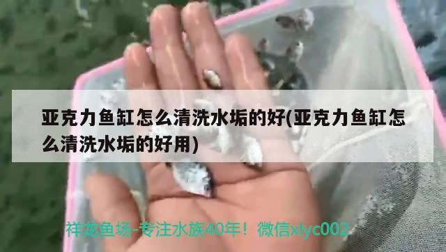 亞克力魚缸怎么清洗水垢的好(亞克力魚缸怎么清洗水垢的好用) 觀賞魚批發(fā)