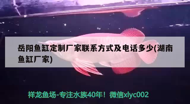 岳陽魚缸定制廠家聯(lián)系方式及電話多少(湖南魚缸廠家)