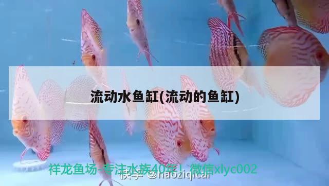 流動水魚缸(流動的魚缸) iwish愛唯希品牌魚缸